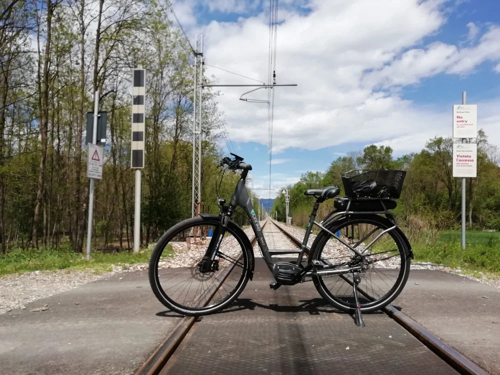 Elysee Evo, la nuova top di gamma delle city ebike Brinke!