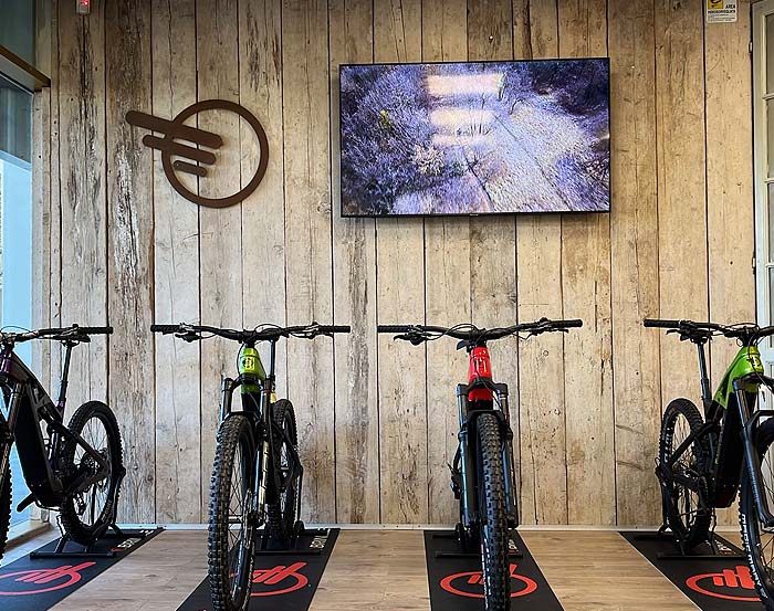 Brinke Store e-mtb trekking e-bike a Desezano Lago di Garda