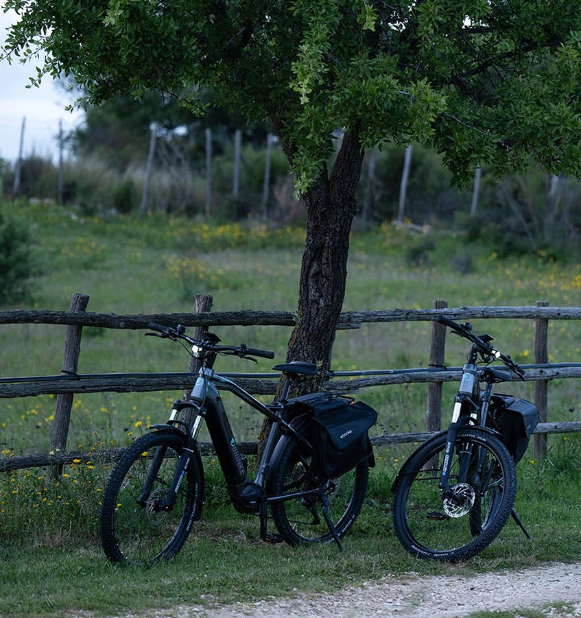 Bici elettriche da mtb Brinke in ambiente boschivo, perfette per escursioni in bicicletta