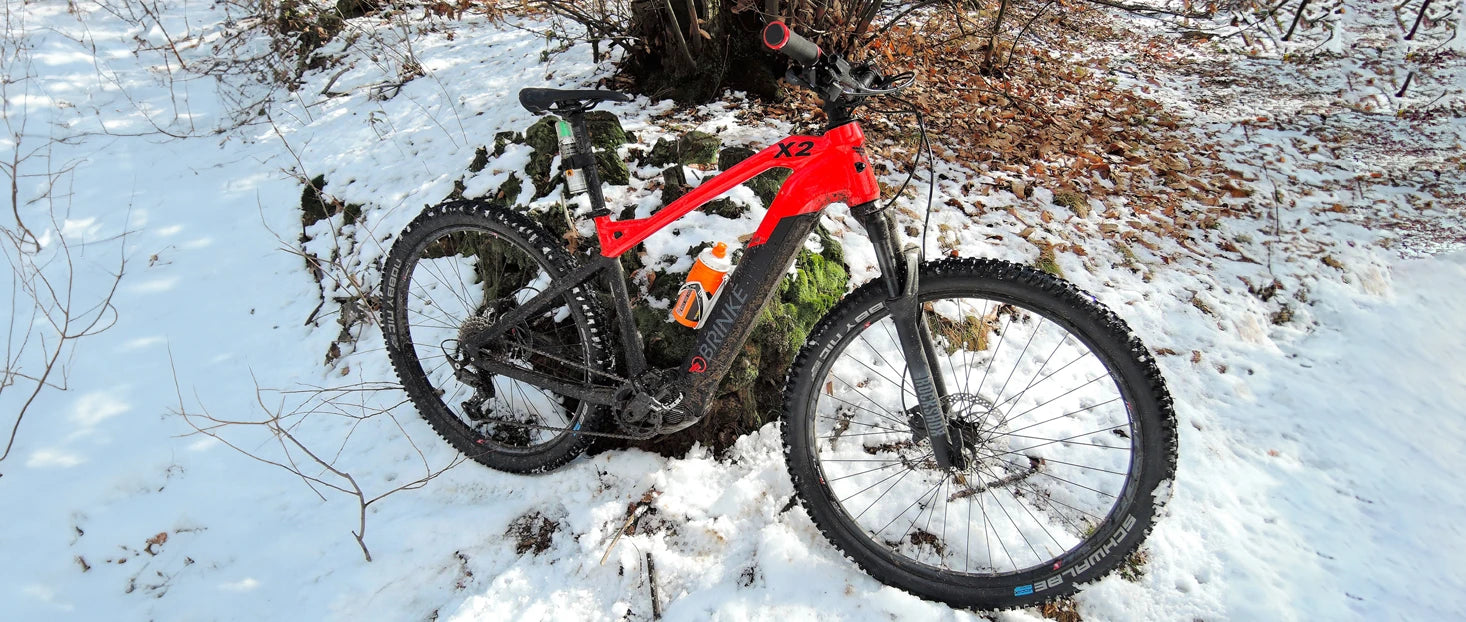 Bici elettrica da mtb Brinke in ambiente montano, perfetta per escursioni in bicicletta